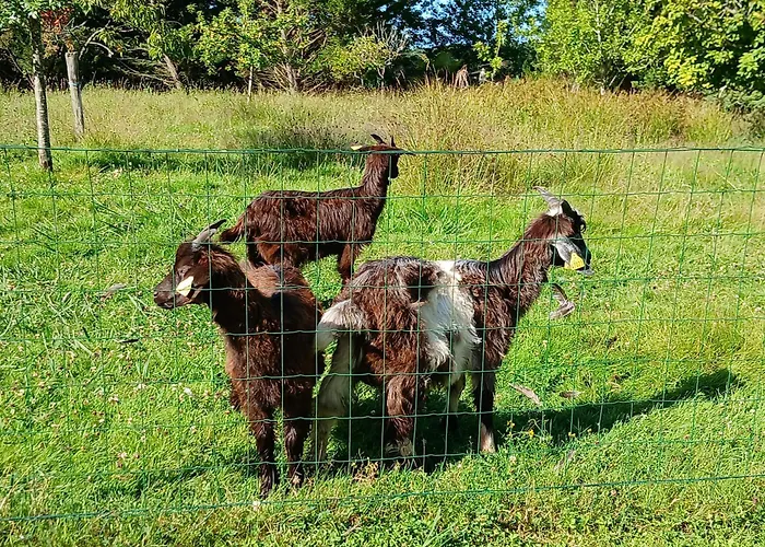 Affittacamere Entre Adour Et Montagne Pouillon